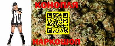 дживик Ноябрьск